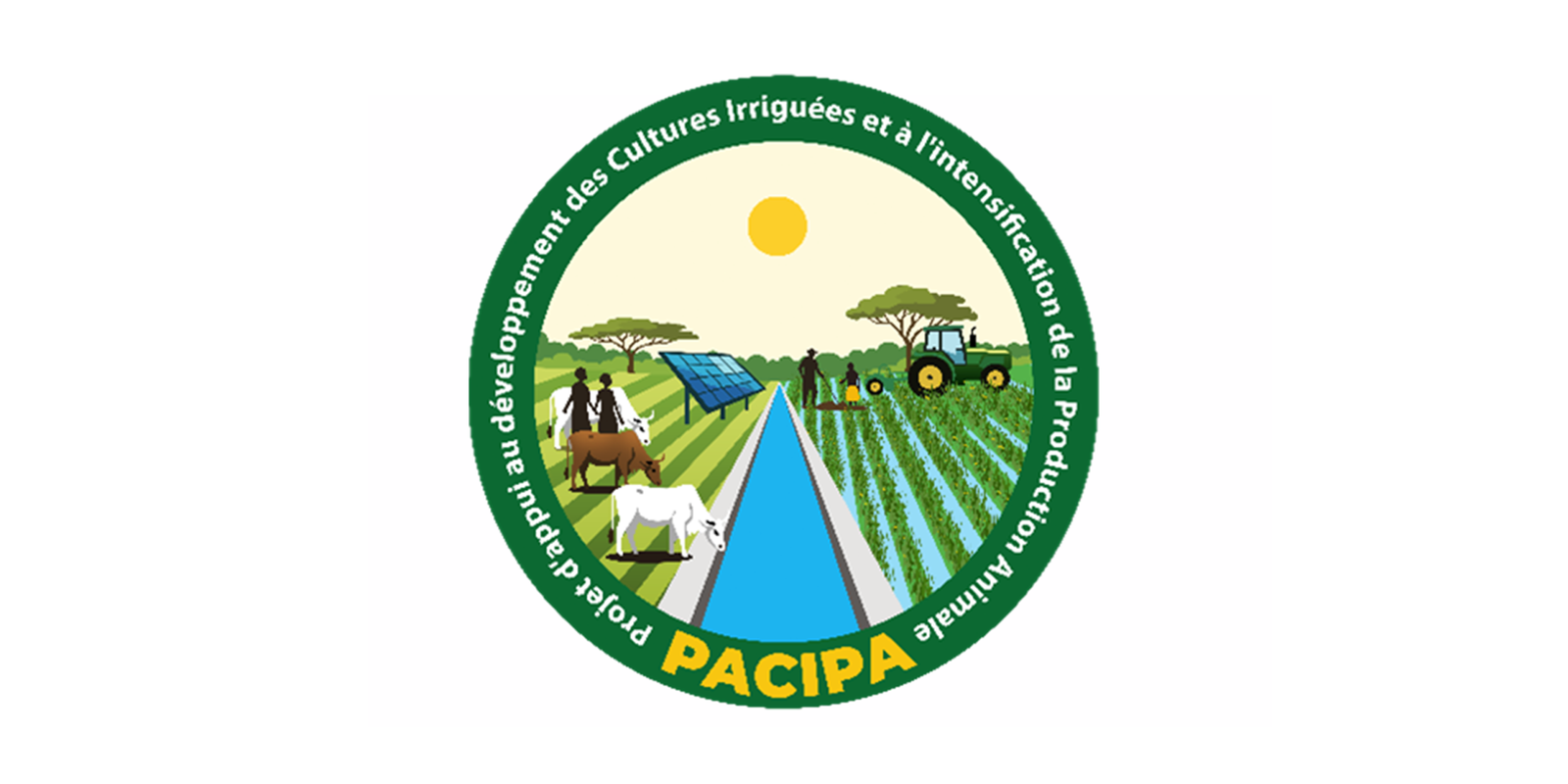 logo pacipa